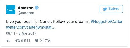 Απίστευτο: Το πιο δημοφιλές tweet στον κόσμο είναι ένα τηγανητό κοτόπουλο [εικόνες] | iefimerida.gr 5