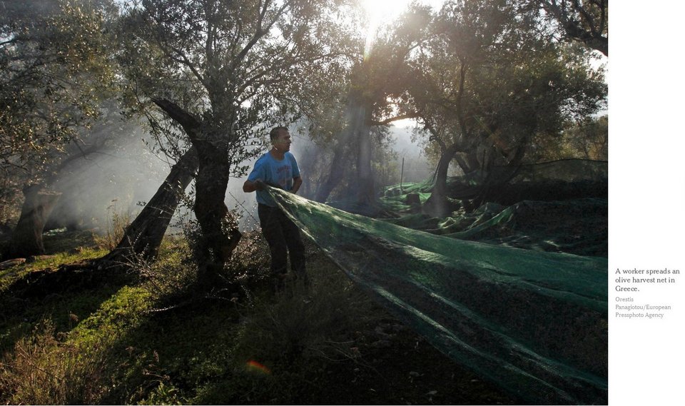 NY Times: Τα capital controls φρέναραν τις εξαγωγές της Ελλάδας στις ΗΠΑ [εικόνες & βίντεο] | iefimerida.gr 0
