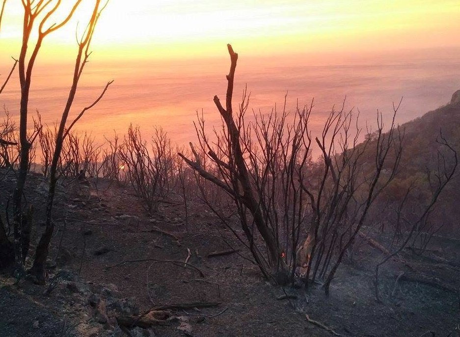  Συνελήφθη 69χρονος για την πυρκαγιά στη Σάμο [εικόνες] | iefimerida.gr 0