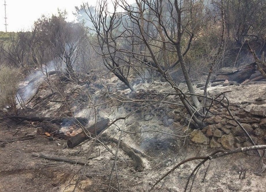  Συνελήφθη 69χρονος για την πυρκαγιά στη Σάμο [εικόνες] | iefimerida.gr 3
