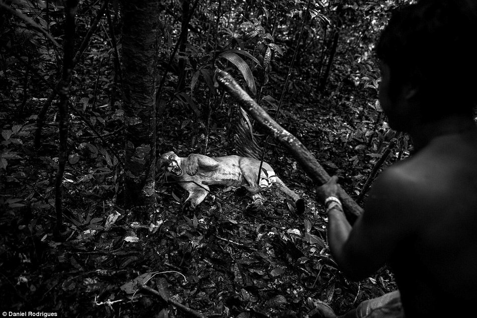 Γνωρίζοντας την πιο απειλούμενη φυλή του κόσμου –Ενα συγκλονιστικό οδοιπορικό [εικόνες & βίντεο] | iefimerida.gr 0