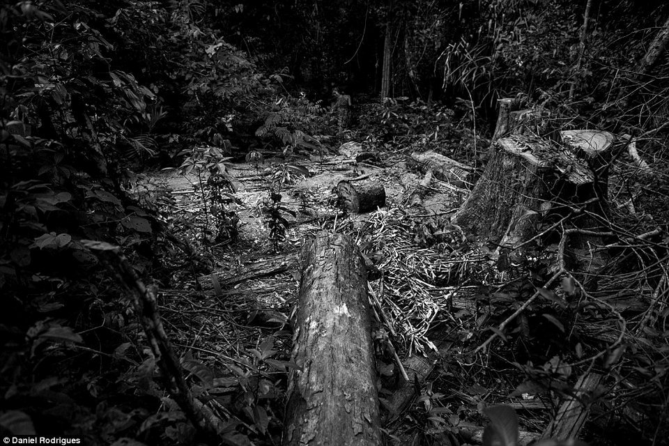 Γνωρίζοντας την πιο απειλούμενη φυλή του κόσμου –Ενα συγκλονιστικό οδοιπορικό [εικόνες & βίντεο] | iefimerida.gr 10