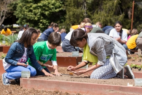 Η Μισέλ Ομπάμα αισθάνεται μοναξιές και φυτεύει λαχανικά στον Λευκό Οίκο [εικόνες] | iefimerida.gr 1