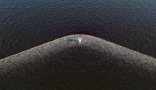 Ενας 20χρονος σοκαρίστηκε από τις ελληνικές παραλίες και δημιούργησε το πρώτο σύστημα καθαρισμού ωκεανών [εικόνες] | iefimerida.gr 1