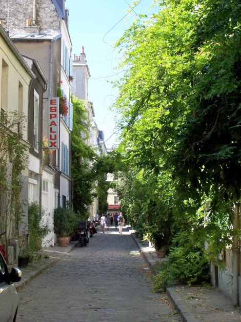 Η γραφικότερη οδός του Παρισιού με το ελληνικό όνομα: Περπατώντας στο πλακόστρωτο, κατάφυτο σοκάκι [εικόνες] | iefimerida.gr 0