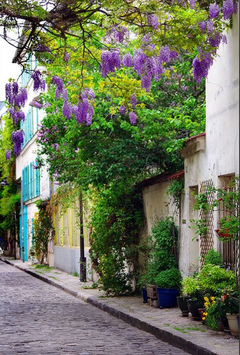 Η γραφικότερη οδός του Παρισιού με το ελληνικό όνομα: Περπατώντας στο πλακόστρωτο, κατάφυτο σοκάκι [εικόνες] | iefimerida.gr 4