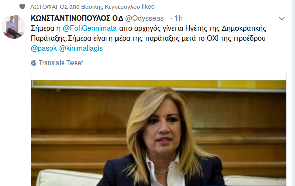 Κρίση στο ΚΙΝΑΛ για το Σκοπιανό -«Οχι» από τη Φώφη Γεννηματά στη συμφωνία | iefimerida.gr 0