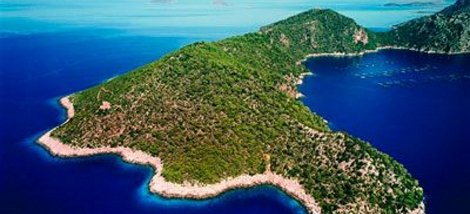 Ο εμίρης του Κατάρ ψηφίζει και πάλι Ελλάδα | iefimerida.gr 0