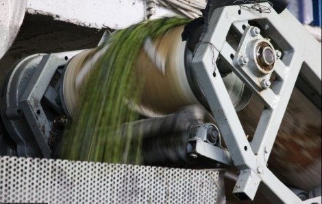 Πώς μια πρώην τραπεζικός «κατακτά» το εξωτερικό: Το εξαιρετικό ελαιόλαδο με όνομα βγαλμένο από την Επανάσταση του '21 [εικόνες] | iefimerida.gr 8