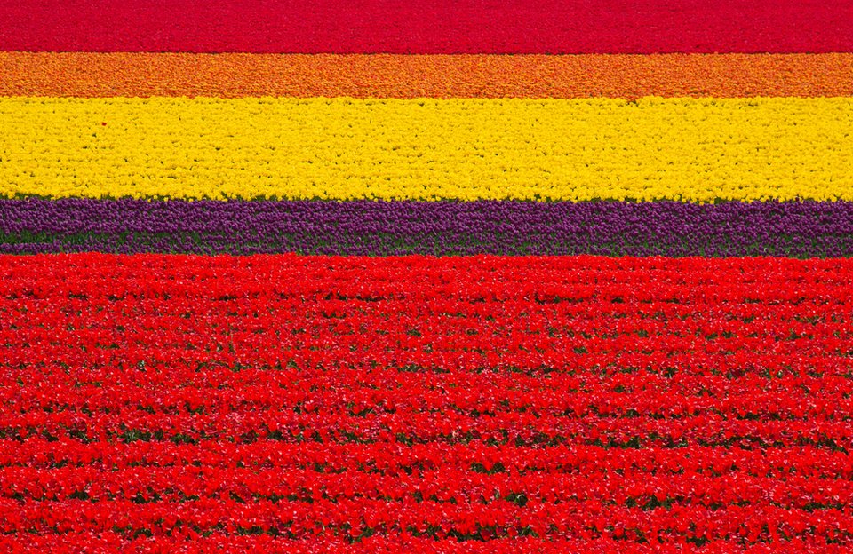 Τα 20 σουρεαλιστικά μέρη στον κόσμο που πρέπει να επισκεφτείτε πριν... αποδημήσετε  [εικόνες] | iefimerida.gr 3