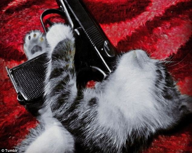 Ολλανδός εντάχθηκε στο ISIS, έγινε τζιχαντιστής και ποστάρει για τη ζωή του στο Tumblr -Οι απαντήσεις σοκ στις ερωτήσεις που του κάνουν άλλοι χρήστες [εικόνες] | iefimerida.gr 13