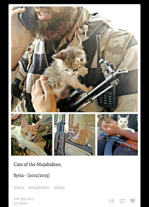 Ολλανδός εντάχθηκε στο ISIS, έγινε τζιχαντιστής και ποστάρει για τη ζωή του στο Tumblr -Οι απαντήσεις σοκ στις ερωτήσεις που του κάνουν άλλοι χρήστες [εικόνες] | iefimerida.gr 7