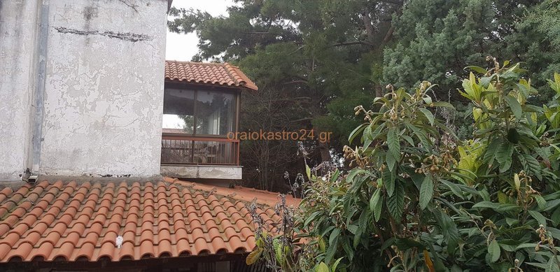 Ωραιόκαστρο: Η κόρη του 58χρονου και μία νεαρή Ρωσίδα συνεργοί στην ομηρία των 8 μηνών [εικόνες] | iefimerida.gr 4