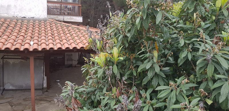 Ωραιόκαστρο: Η κόρη του 58χρονου και μία νεαρή Ρωσίδα συνεργοί στην ομηρία των 8 μηνών [εικόνες] | iefimerida.gr 3