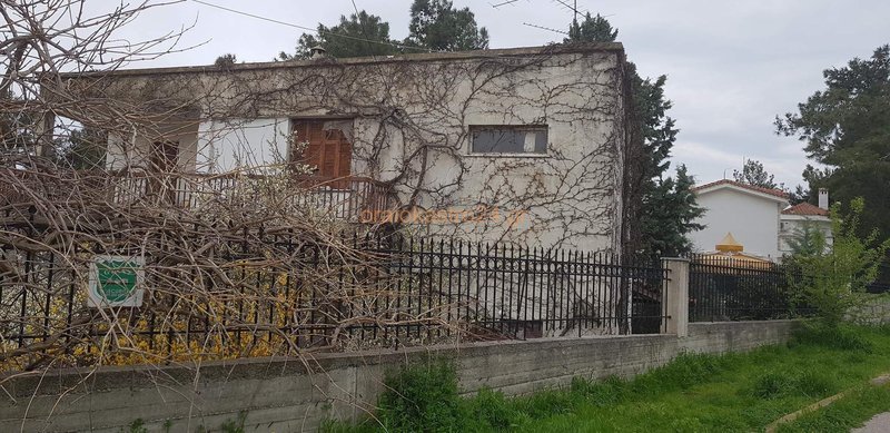 Ωραιόκαστρο: Η κόρη του 58χρονου και μία νεαρή Ρωσίδα συνεργοί στην ομηρία των 8 μηνών [εικόνες] | iefimerida.gr 0