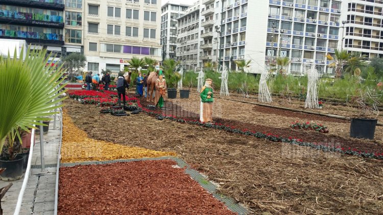 Ετσι προσπαθούν να κρύψουν την ασχήμια της φάτνης στην Ομόνοια -Τι φυτεύουν από το πρωί συνεργεία του δήμου [εικόνες]  | iefimerida.gr 0