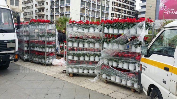 Ετσι προσπαθούν να κρύψουν την ασχήμια της φάτνης στην Ομόνοια -Τι φυτεύουν από το πρωί συνεργεία του δήμου [εικόνες]  | iefimerida.gr 1