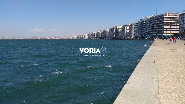 Ούτε ίχνος από φυτοπλαγκτόν στον Θερμαϊκό -Βοήθησε ο βαρδάρης [εικόνες] | iefimerida.gr 1