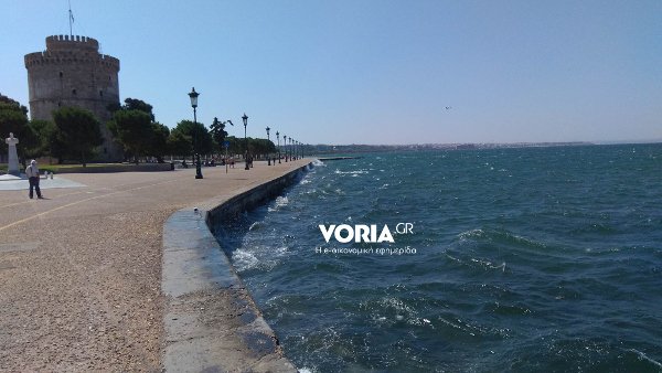 Ούτε ίχνος από φυτοπλαγκτόν στον Θερμαϊκό -Βοήθησε ο βαρδάρης [εικόνες] | iefimerida.gr 2