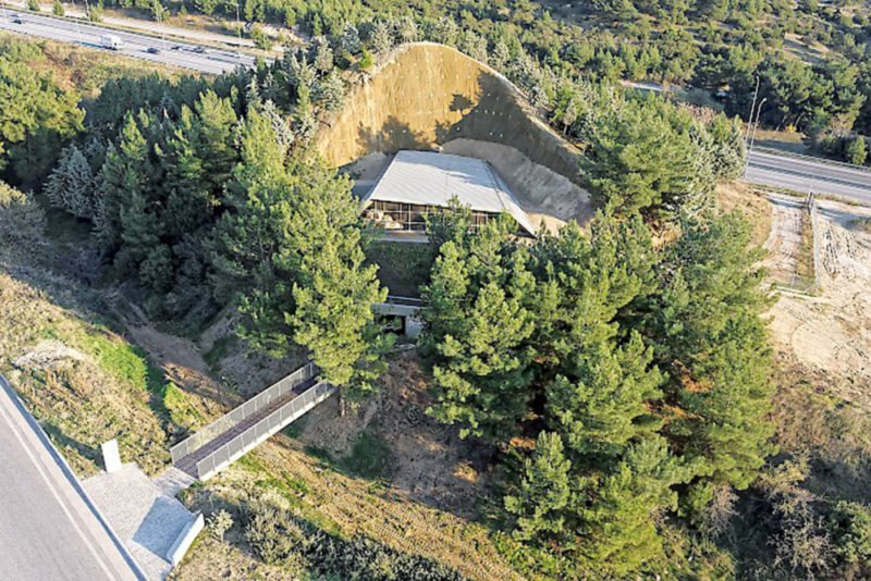 Ξεναγήσεις σε 100 εμβληματικά κτίρια της Θεσσαλονίκης -Ξενοδοχεία, αγορά, Λαδάδικα [εικόνες & βίντεο] | iefimerida.gr 6