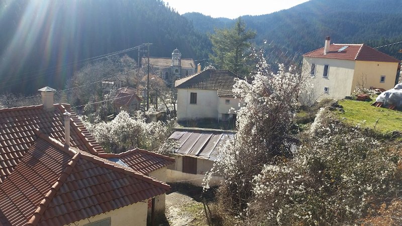 «Μύρισε» Χριστούγεννα στην Ορεινή Αρκαδία -Τα πανέμορφα χωριά έτοιμα να υποδεχθούν τους  εκδρομείς των εορτών [εικόνες] | iefimerida.gr 2