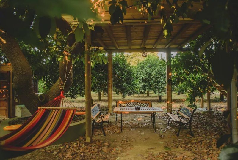 Διακοπές σε ονειρεμένα δεντρόσπιτα της Ελλάδας -Μποέμ διάθεση και ηρεμία στη φύση [εικόνες] | iefimerida.gr 13