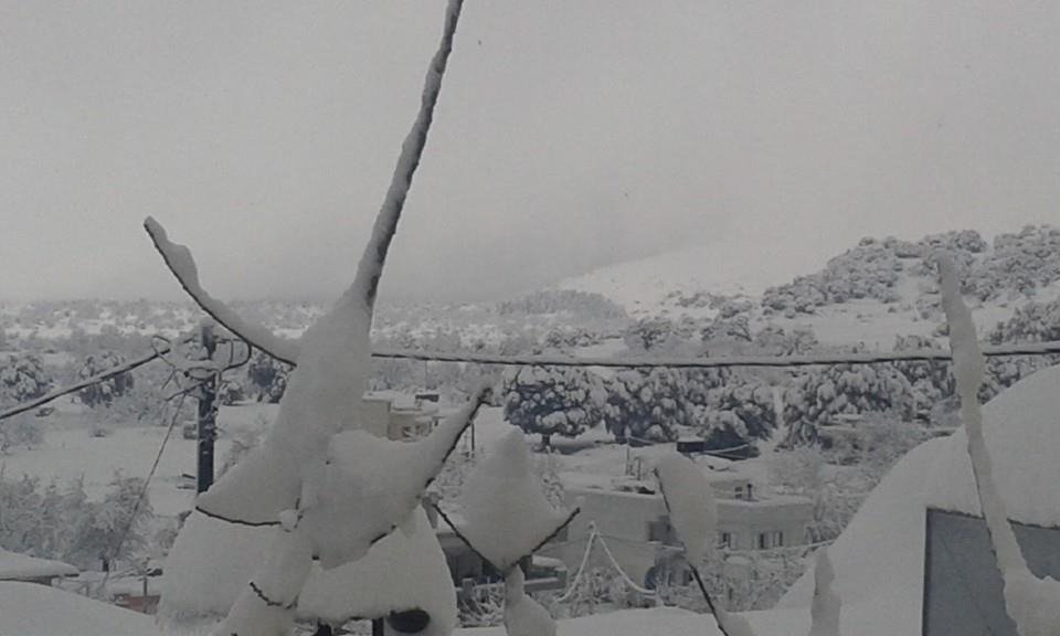 «Χάθηκε» μέσα στα χιόνια το Οροπέδιο Λασιθίου [εικόνες] | iefimerida.gr 0