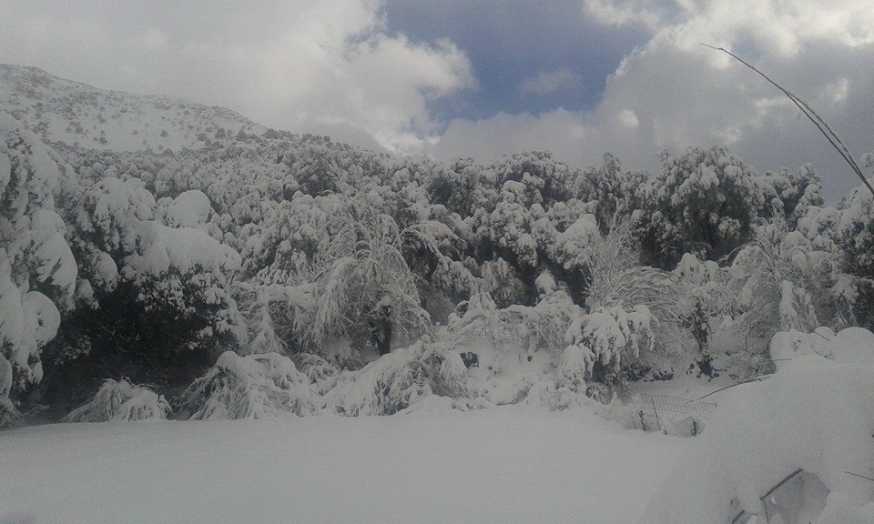 «Χάθηκε» μέσα στα χιόνια το Οροπέδιο Λασιθίου [εικόνες] | iefimerida.gr 12
