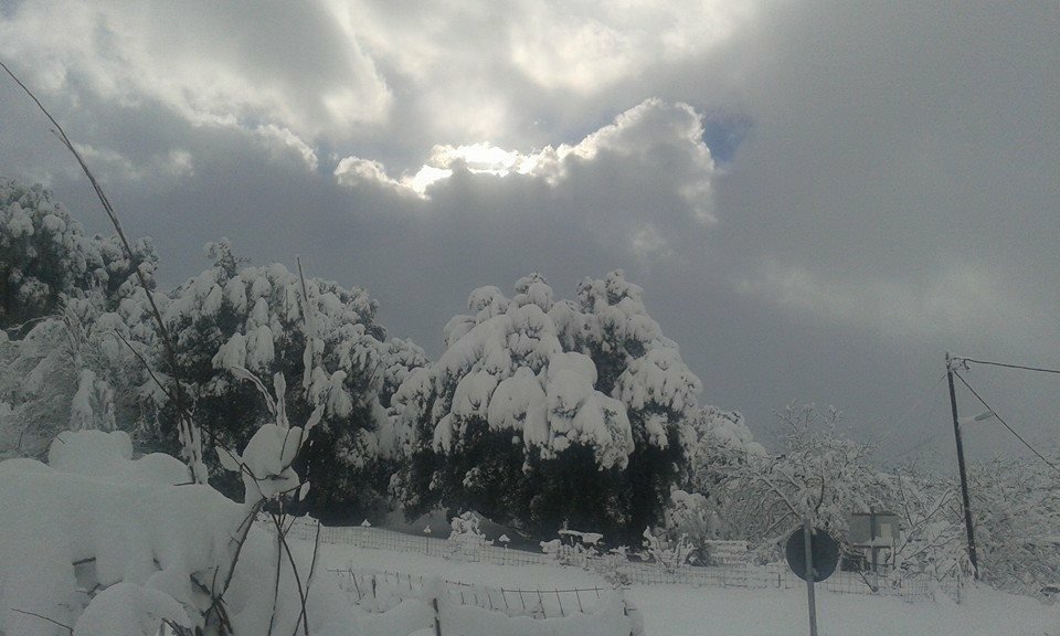 «Χάθηκε» μέσα στα χιόνια το Οροπέδιο Λασιθίου [εικόνες] | iefimerida.gr 10