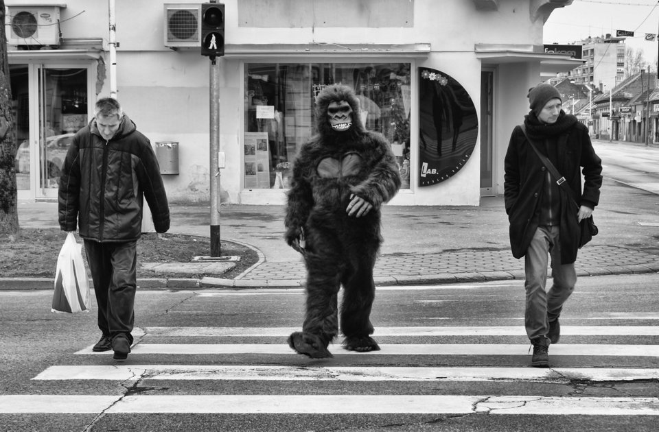 Πώς δουλεύουν οι άνθρωποι σε όλο τον κόσμο -Φωτογραφίες προδίδουν τις διαφορές [εικόνες] | iefimerida.gr 9