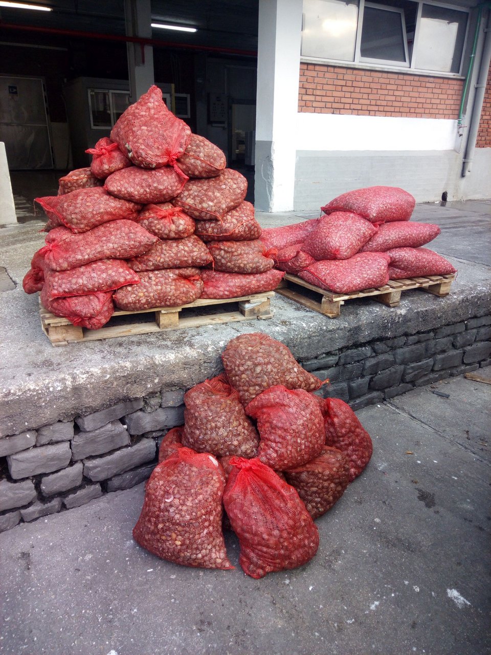 Κατάσχεσαν 760 κιλά όστρακα ακατάλληλα για κατανάλωση -Τα μετέφεραν σε πορτ παγκάζ [εικόνες] | iefimerida.gr 2