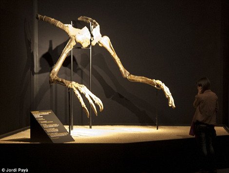 Ετσι περπατούσε ο δεινόσαυρος-στρουθοκάμηλος: Μοναδική 3D αναπαράσταση [βίντεο & εικόνες] | iefimerida.gr 0