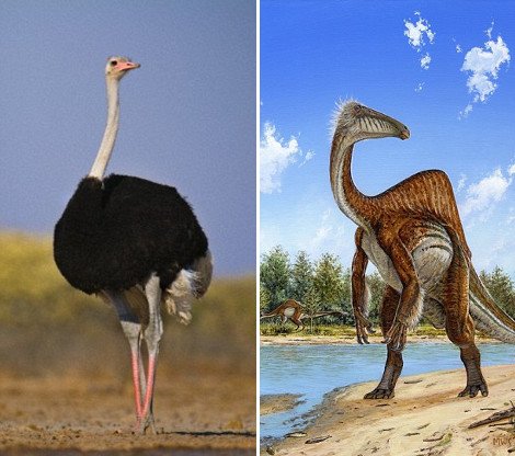 Ετσι περπατούσε ο δεινόσαυρος-στρουθοκάμηλος: Μοναδική 3D αναπαράσταση [βίντεο & εικόνες] | iefimerida.gr 1