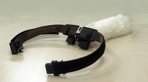 Απίστευτο γκάτζετ - Ζώνη-ουρά κουνιέται όταν αυτός που τη φορά χαίρεται [βίντεο] | iefimerida.gr 2