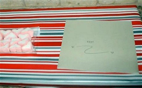 Τα τελευταία λόγια αγάπης της Στέενκαμπ -Η κάρτα και το δώρο που δεν πρόλαβε να δώσει στον Πιστόριους [εικόνες] | iefimerida.gr 0