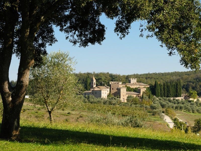 Η μεσαιωνική γοητεία - Στο σφυρί πολυτελής πύργος του 12ου αι. με 115 δωμάτια και 100 μπάνια [εικόνες] | iefimerida.gr 7