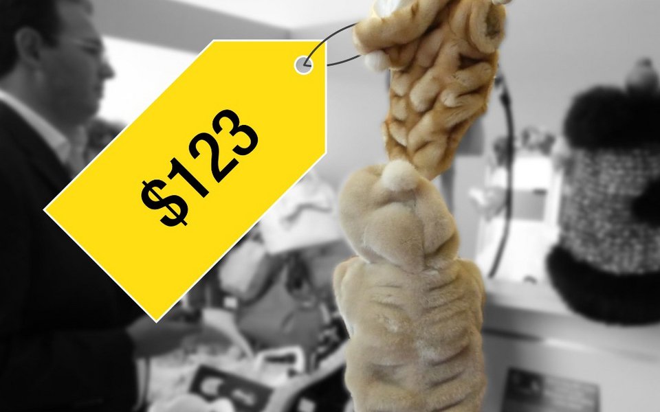 Τι αγοράζουν οι πλούσιοι όταν δεν ξέρουν τι να κάνουν με τα λεφτά τους [εικόνες] | iefimerida.gr 5