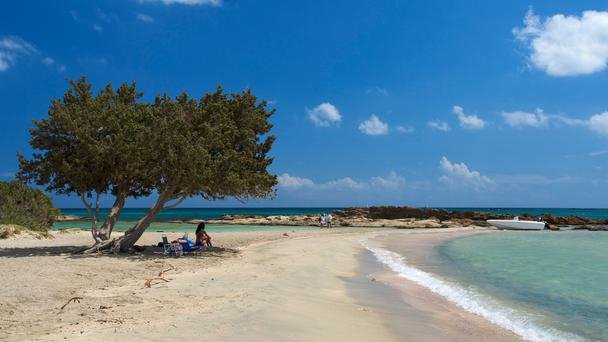 Ελαφονήσι, ένα από τα πιο όμορφα «μυστικά» της Ευρώπης σύμφωνα με το BBC [εικόνες] | iefimerida.gr 0