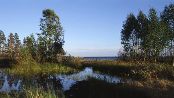 Αγία Πετρούπολη: Η ωραιότερη, πιο ενδιαφέρουσα και με υψηλό βιοτικό επίπεδο πόλη της Ευρώπης για να ζει κανείς [εικόνες] | iefimerida.gr 5