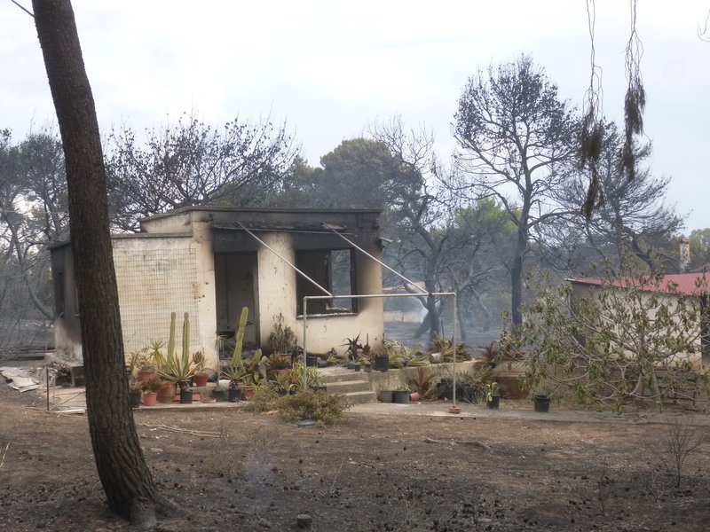 Η «ΑΠΟΣΤΟΛΗ» πλάι στους πυροπαθείς [εικόνες] | iefimerida.gr 2