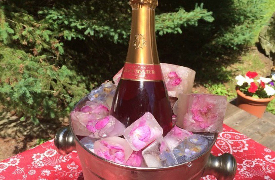 Λουλουδάτα παγάκια: Πώς τα ροφήματα γίνονται έργα τέχνης [εικόνες]  | iefimerida.gr 4