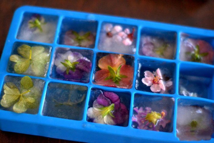 Λουλουδάτα παγάκια: Πώς τα ροφήματα γίνονται έργα τέχνης [εικόνες]  | iefimerida.gr 0