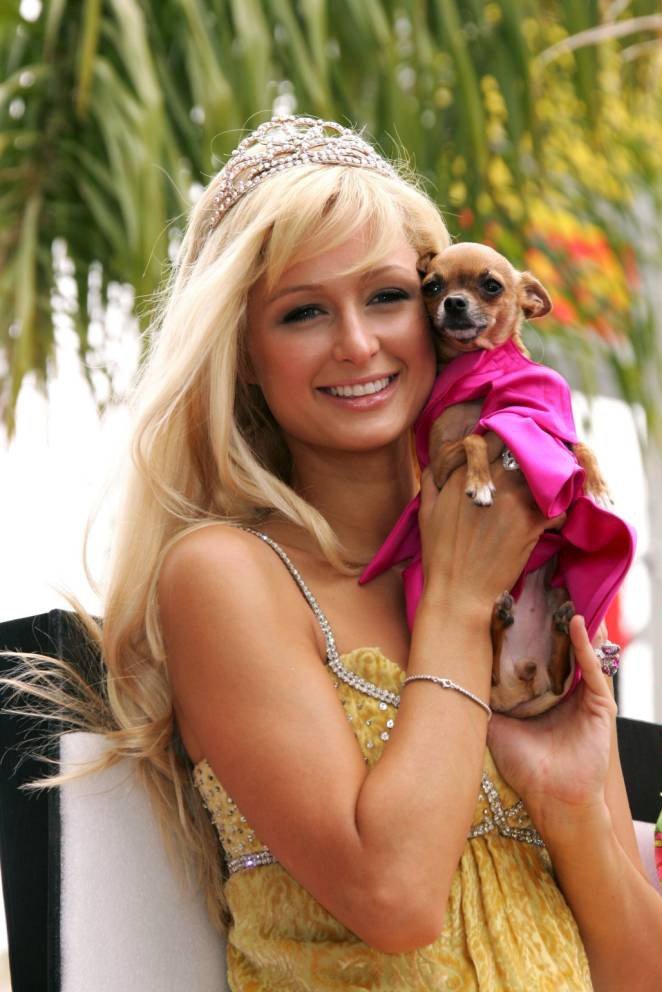 Πέθανε από γηρατειά το σκυλί της Πάρις Χίλτον [εικόνες] | iefimerida.gr 3