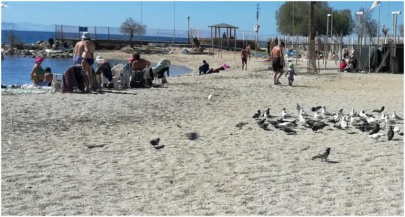 Εβγαλε ήλιο, γέμισαν κόσμο οι παραλίες της Αττικής -Στη σκιά του «Αγία Ζώνη» [εικόνες & βίντεο] | iefimerida.gr 1