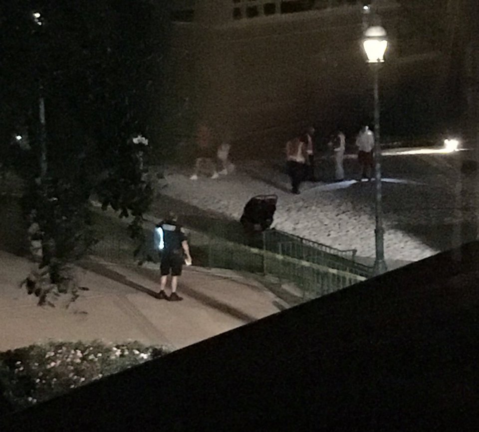 Νέο θρίλερ στις ΗΠΑ: Αλιγάτορας άρπαξε 2χρονο παιδί κοντά στη Disneyland  [εικόνες & βίντεο] | iefimerida.gr 1