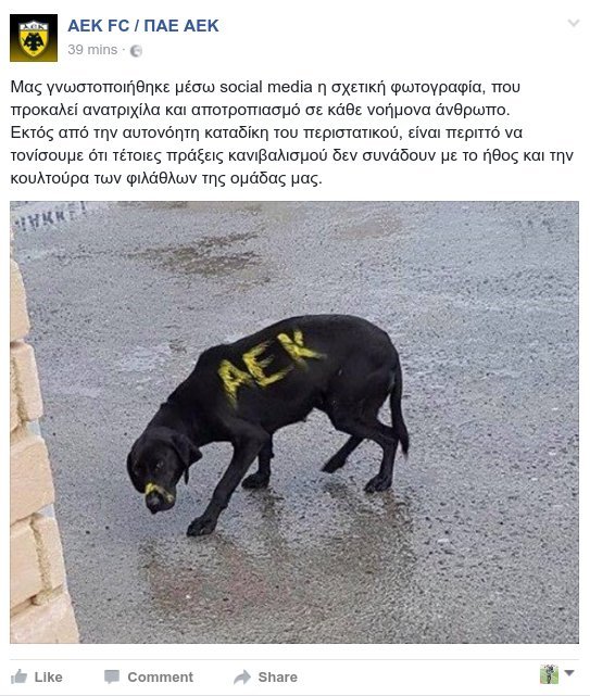 Αντίδραση της ΠΑΕ ΑΕΚ για τις εικόνες με τον σκύλο - «Πράξεις κανιβαλισμού» | iefimerida.gr 0