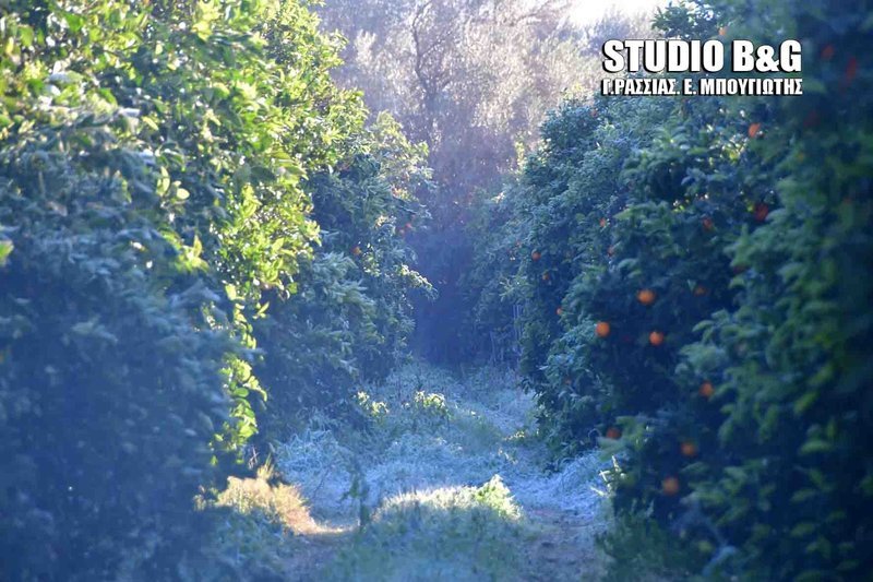 Η κακοκαιρία «Σοφία» χτύπησε και την Αργολίδα
