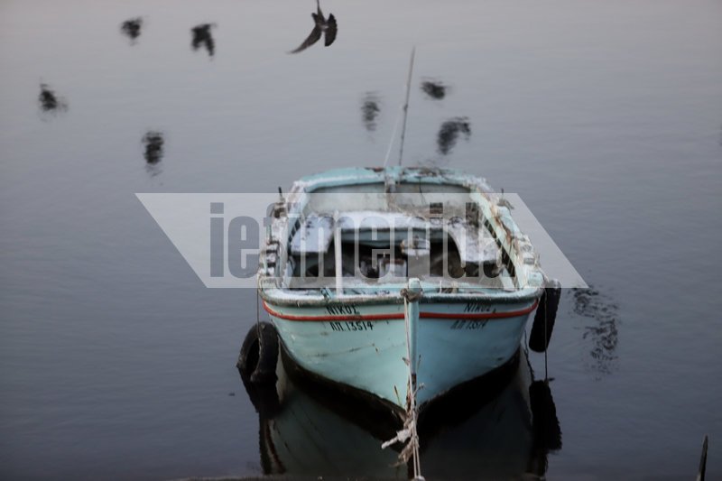 Η ψαρόβαρκα αντέχει όλους τους καιρούς, ακόμα και το χιόνι