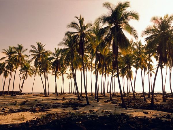 Οι ωραιότερες παραλίες στον κόσμο, για βουτιές στο απέραντο γαλάζιο [εικόνες] | iefimerida.gr 2