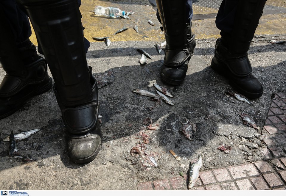 Το ΠΑΜΕ πέταξε... σαρδέλες στη Βουλή -Αντίδραση στα υπό ψήφιση νέα μέτρα [εικόνες] | iefimerida.gr 0